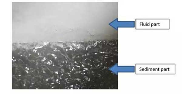 泌水后流体部分和沉淀部分